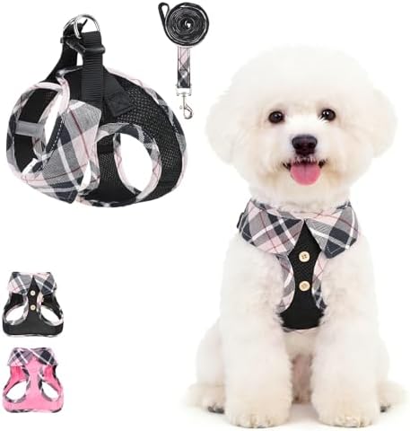 KOOLTAIL Small Dog Harness and Leash Set, Cute Puppy Harness, Step in No Pull by KOOLTAIL