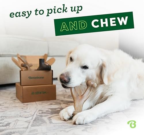 Benebone Large 4-Pack Dog Toys for Aggressive Chewers – Under 90 lbs - Image 2