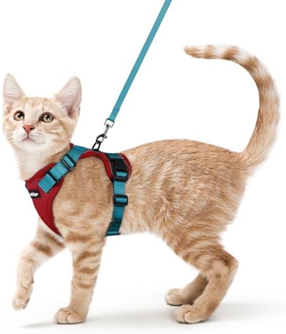 rabbitgoo Cat Harness and Leash Set, Escape Proof Vest by rabbitgoo