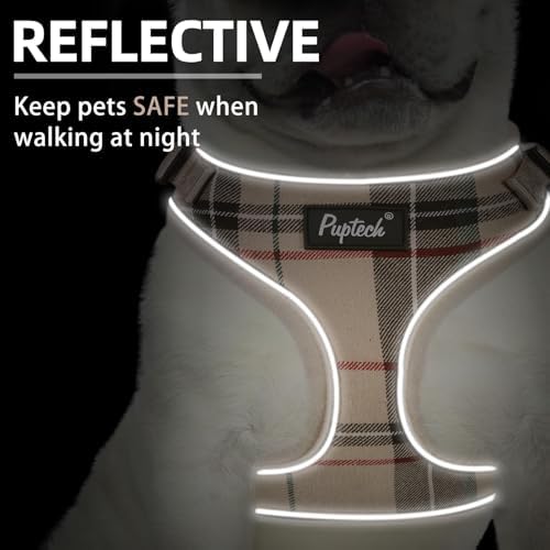 PUPTECK Small Dog Harness and Leash Set No Pull - Image 4