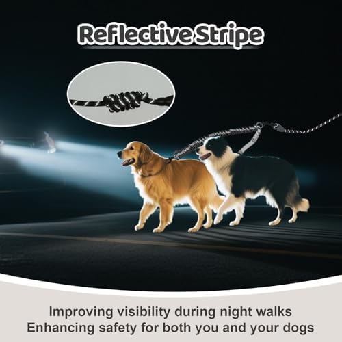 Double Dog Leash - Image 6