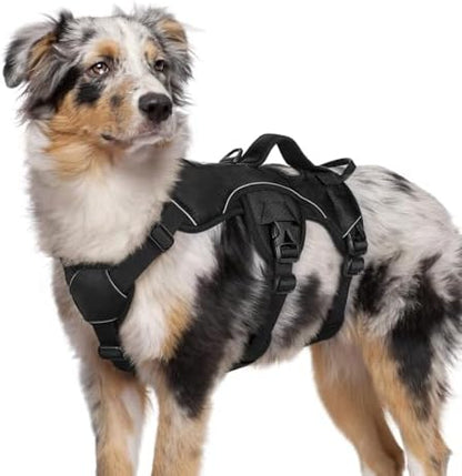 rabbitgoo Escape Proof Dog Harness by rabbitgoo