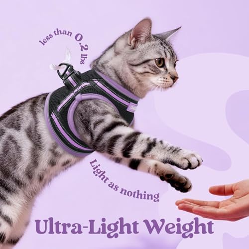 rabbitgoo Cat Harness and Leash Set, Step-in Soft Vest - Image 6