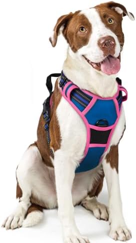 rabbitgoo Dog Harness, No Pull for Large Dogs by rabbitgoo