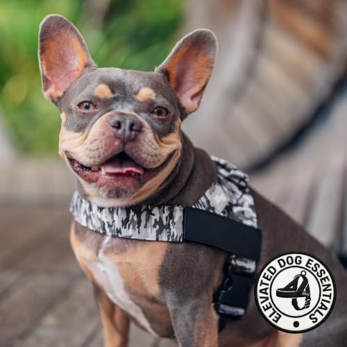 Dog Friendly Co. Dog Harness for Small Dogs - Image 6