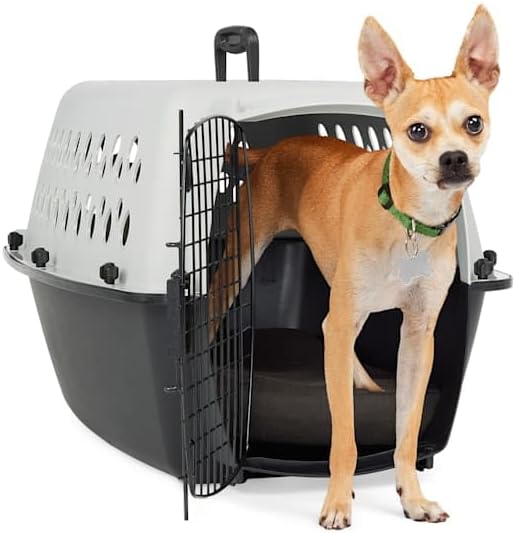 EveryYay by Petco Portable Plastic Pet Kennel 24" L X 16" W X 14" H Grey by Petco