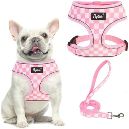 PUPTECK Small Dog Harness and Leash Set No Pull by PUPTECK