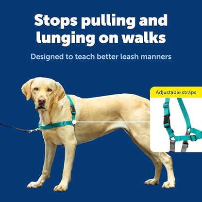 PetSafe Easy Walk Harness, No Pull Dog Harness - Image 4
