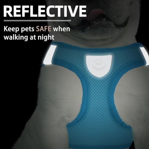 PUPTECK Dog Harness, Collar and Leash Set No Pull - Image 5