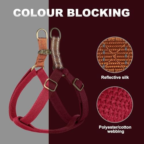 Didog Step in Dog Harnes for Small Dogs, Chest 14-22" - Image 3
