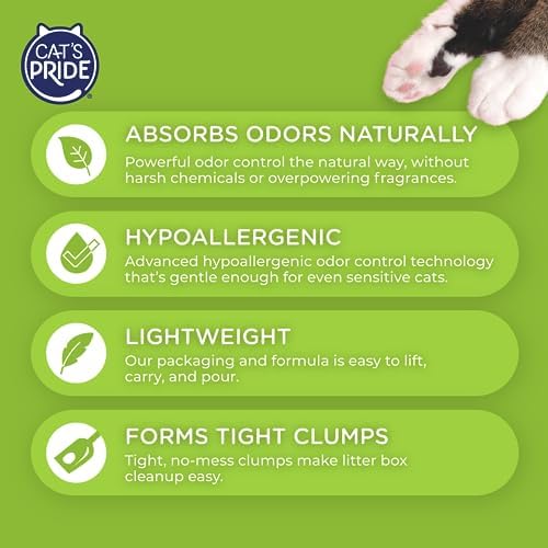 Cat's Pride Natural Lightweight Hypoallergenic Clumping Litter 10lb - Image 3