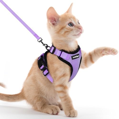 rabbitgoo Cat Harness and Leash Set, Escape Proof Vest, Light Purple by rabbitgoo