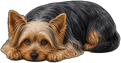 3D Realistic Dog Shaped Bath Mat & Floor Rug by MOFABIA