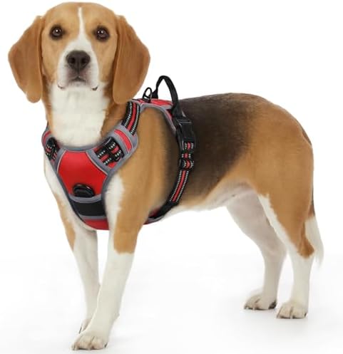 Eagloo Dog Harness for Small Dogs, No Pull Pet Vest by GoExplorewithEagloo