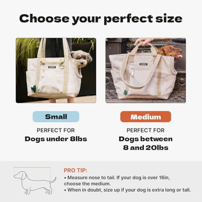 Cleverpup Transit Tote Dog Carrier 4-Piece Set - Image 2