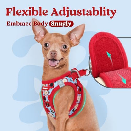 rabbitgoo Step-in Small Dog Harness, Puppy Vest - Image 6