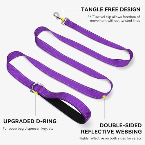 Joytale Reflective Dog Leash for Small Dogs, 4 FT x 3/4" - Image 5