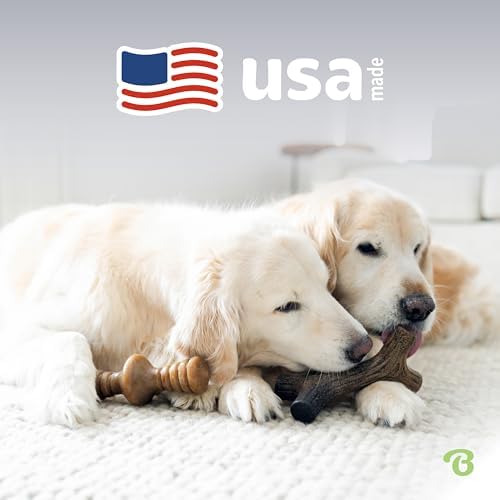 Benebone 2-Pack Maplestick/Zaggler Durable Dog Chew Toys, Dog Bones - Image 5