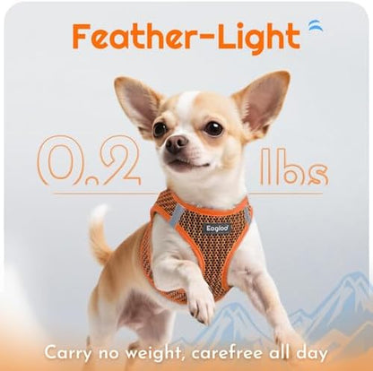 Eagloo Small Dog Harness and Leash Set, Step in Extra Small Puppy Pet Vest - Image 4