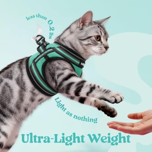 rabbitgoo Cat Harness and Leash Set, Step-in Soft Vest - Image 6