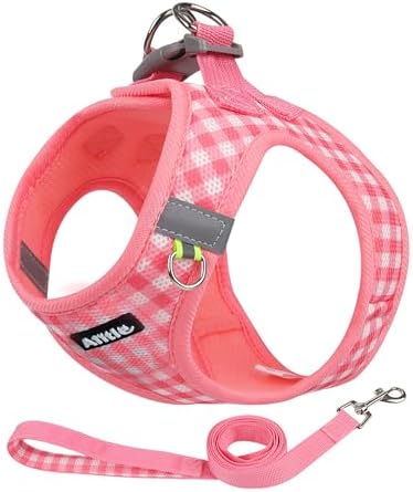 AIITLE Step in Small Dog Harness and Leash Set, Pet Vest, Watermelon XXS by AIITLE-FORPETSBETTERLIFE