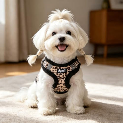 PUPTECK Dog Harness and Leash Set Small Sized, Step in No Pull Adjustable Puppy - Image 6