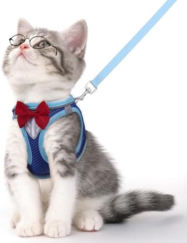 Cat Vest Harness and Leash Set, Escape Proof Kitten Harness Blue L by NCMAMA