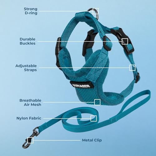 Voyager Step-in Lock Cat Harness & Leash Set - Image 3