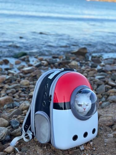 Large Cat Backpack Carrier, Front Extension - Image 6