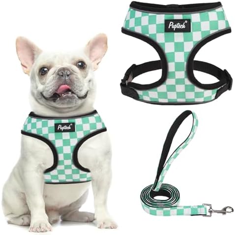 PUPTECK Small Dog Harness and Leash Set No Pull by PUPTECK