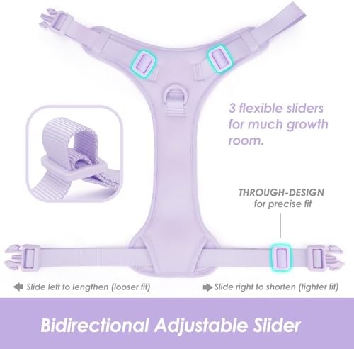 Sunraymascota No Pull Dog Harness - Image 5