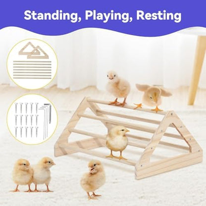 Pawaboo Chick Brooder Box for Chick Starter Kit - Image 5