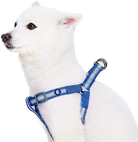 Blueberry Pet Essentials Step-in Reflective Back to Basics Dog Harness by BlueberryPet