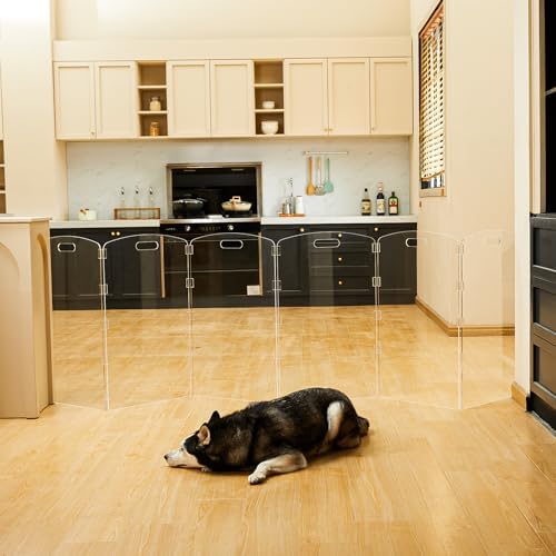 Modern Frame Clear Acrylic Freestanding Dog Gate - Image 2