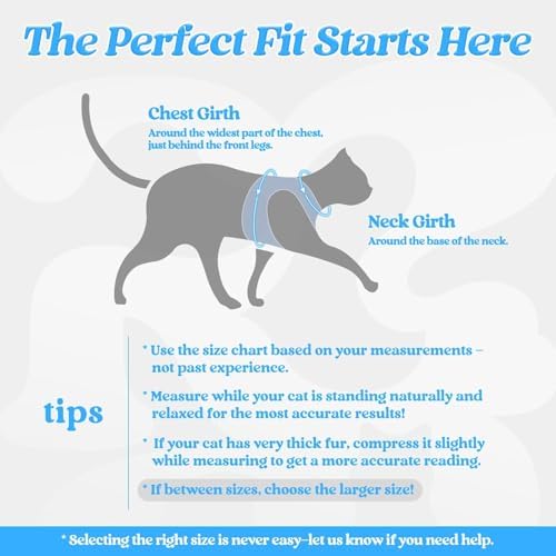 rabbitgoo Cat Harness and Leash Set, Step-in Soft Vest, Light Blue - Image 2