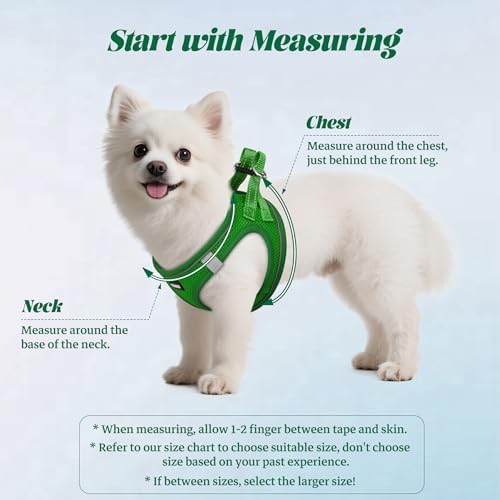 No Pull Dog Puppy Harness and Leash Set Reflective Mesh Vest Large - Image 2