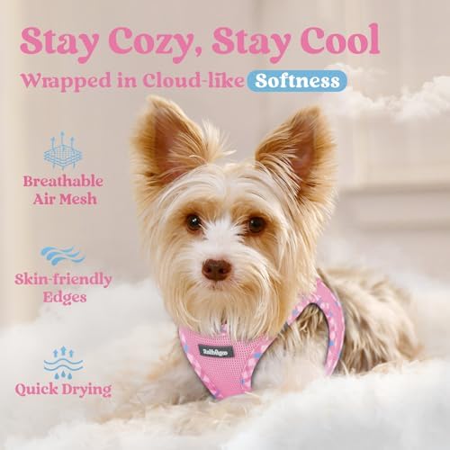 rabbitgoo Step-in Small Dog Harness, Puppy Vest - Image 3
