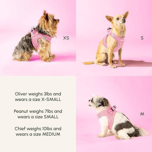 Adjustable Step-In Harness for Small Dogs - Image 3
