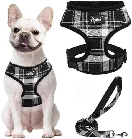 PUPTECK Small Dog Harness and Leash Set No Pull by PUPTECK