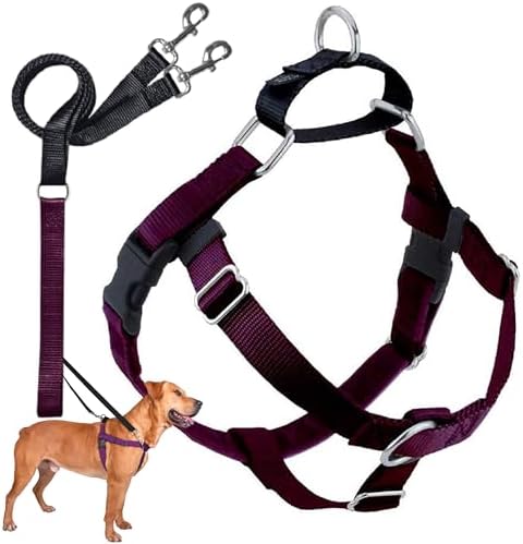 2 Hounds Design Freedom No Pull Dog Harness and Leash by 2HoundsDesign