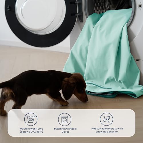 Cooling Dog Beds Large Sized Dog, Extra Large Comfy Flat Puppy Beds - Image 6
