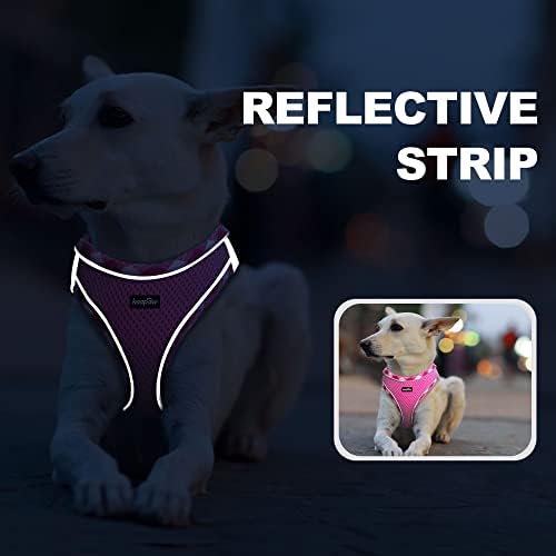 haapaw Dog Harness with Leash Set, No Pull Adjustable Reflective Step-in Puppy - Image 5