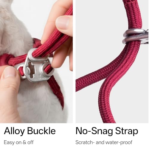 Escape Proof Y Shape Cat Harness Anti-Choke - Image 5