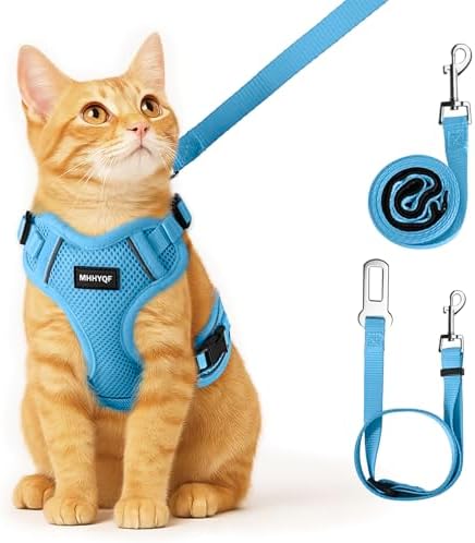 Cat Harness, Cat Harness and Leash by Unknown