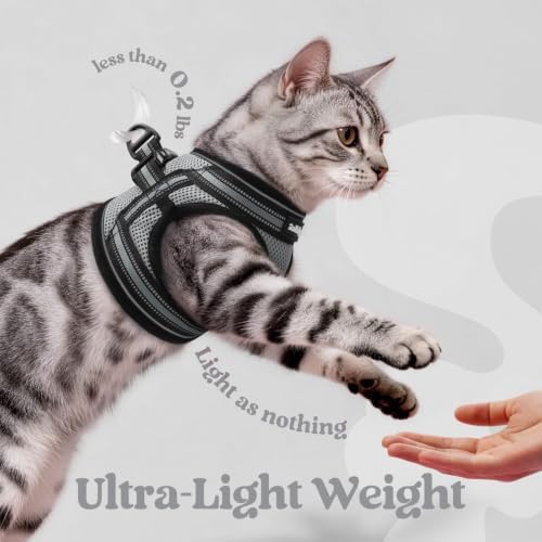 rabbitgoo Cat Harness and Leash Set, Step-in Soft Vest - Image 6