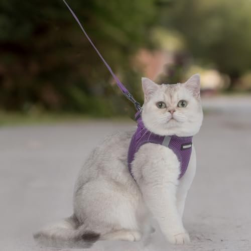 Voyager Step-in Air Cat Harness & Leash Set - Image 7
