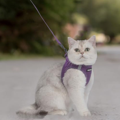 Voyager Step-in Air Cat Harness & Leash Set - Image 7