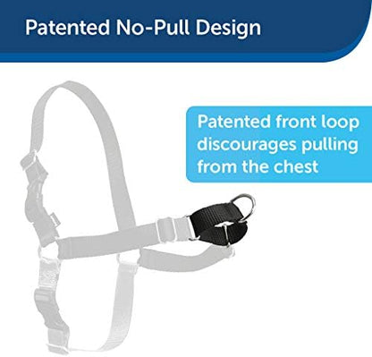 PetSafe Easy Walk No-Pull Dog Harness - Image 2