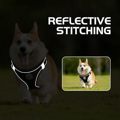 Soft Mesh Dog Harness and Leash Set, No Pull Puppy Harness and Leash Set - Image 6
