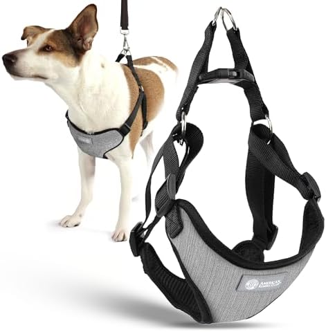 AKC Premium Padded Step-in Dog Harness – Soft Comfort Fit by AmericanKennelClub